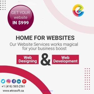 Best web design and developing company in Toronto