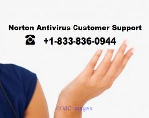 Norton Antivirus Customer Service Number 1-833-836-0944