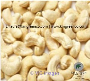 Vietnamese Cashew Nut Kernels WW240, WW320