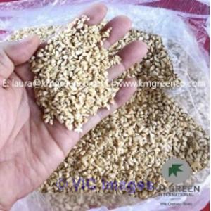 Vietnamese Cashew Nut Kernels BB