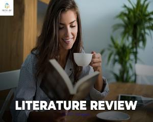 Literature Review Writing Service-Silver Lake Consulting