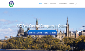 Raccoon Pest Control Ottawa | Raccoon Removal Service