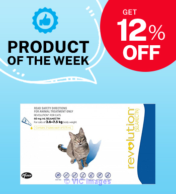 Cheapest Pet Supplies for Cat in South Africa, Revolution for Cats