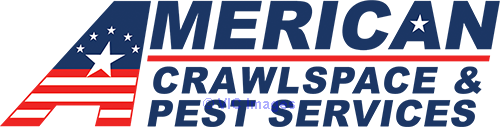American Pest Services