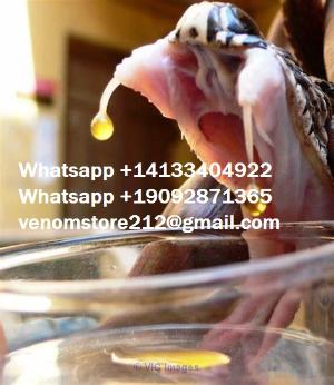 Buy Snakes Venom online