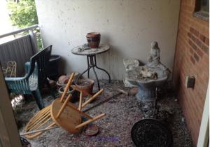 Stop Pigeons from Nesting On Your Balcony This Winter
