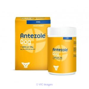 Buy Antezole Tablets, Anti-worm medication for Dogs