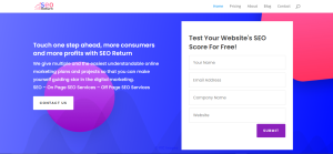 Off Page and On Page SEO Services. SEO Return