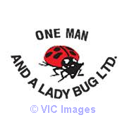 One Man and a Ladybug Ltd.
