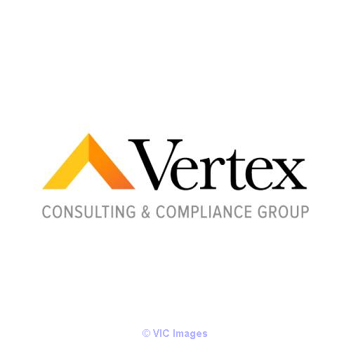 Get The Best Type Virtual Cfo Services For The Company Profit
