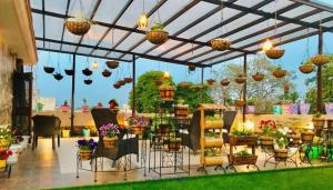 Rooftop Gardening Services in Delhi