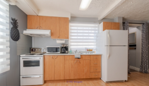 All furnished beautiful sunny 3 ½