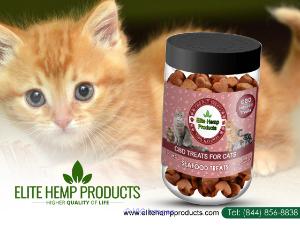 Buy Premium Quality Pet Treats for Cats in Oakland Park