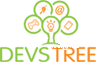 Devstree IT Services