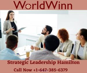 Do you want Strategic Leadership in Hamilton?