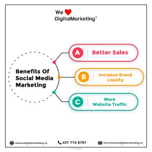 Seo Companies in Toronto | Web Design Toronto | WLDM Canada
