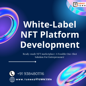 White label NFT Marketplace Development | White-label NFT
