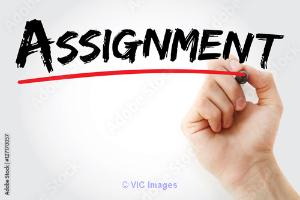 Assignment Help Canada