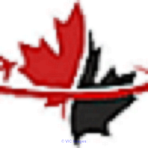 Top immigration services in Canada - Sure Shot Immigration