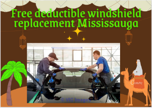 Adding a New Lease of Life to Your Vehicle