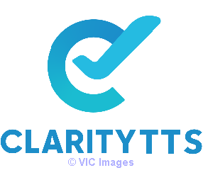 The Travel SaaS - Transforming Travel Business Beyond Imagination