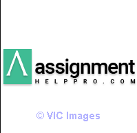 Business Research Assignment Help