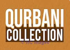 Qurbani Collection