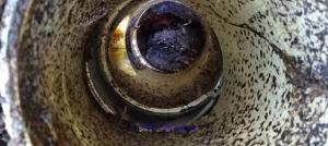 Skilled Blocked Drain Plumber Parramatta