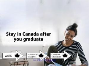 Best immigration consultants in Surrey