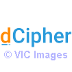 Remote Technology Hiring | Recruit Remote software engineers Canada &