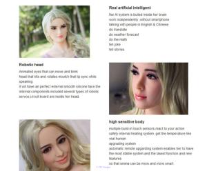 Realistic Artificial Intelligence Robot Companion