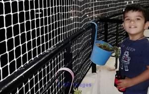 Pigeon Netting Services In Baner