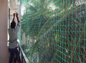 Pigeon Netting Services In Kothrud