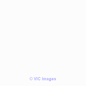 Veteran Pressure Washing Pros
