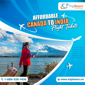 Affordable Canada to India flight tickets