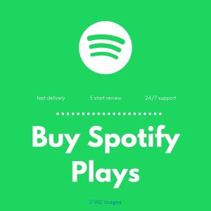 Buy Spotify Plays in Burlington, Ontario
