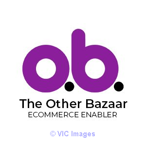 Influencer Marketing Consultant