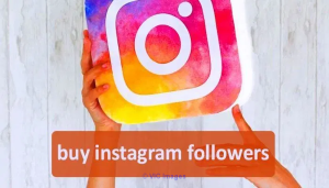 Buy Instagram Followers in Burlington, Ontario