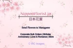 Send Flowers to Marugame Prompt Delivery at Reasonably Cheap Price