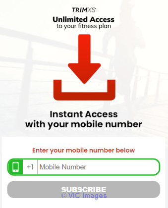 Get Your Fitness Plan Now for free allthe time!