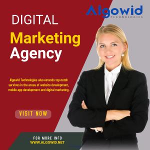 Algowid Technologies-Canada's Best Web Development Company
