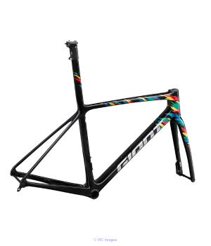 2022 Giant TCR Advanced SL Disc LTD Frameset (BAMBOBIKE)