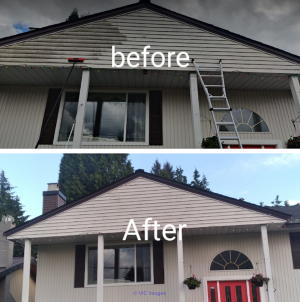 Professional Cleaning Service