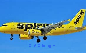 Spirit Airlines Booking Number
