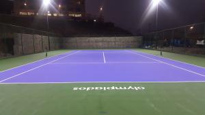 Sports Contractor company