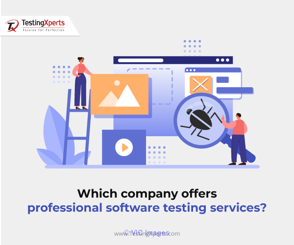 Professional Software Testing Services companies