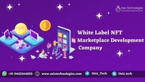 Guide for White Label NFT Marketplace Developments