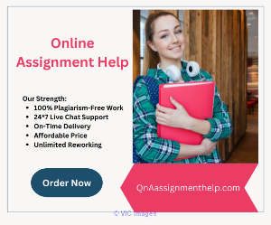 Get Online Assignment Help in Australia by Top writers