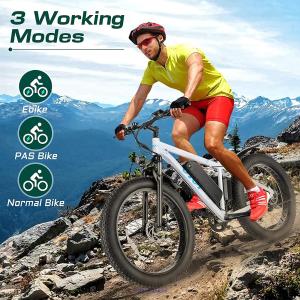 Ten Best Fat Tire Electric Fat Tire Mountain Bikes with $1000 or Below