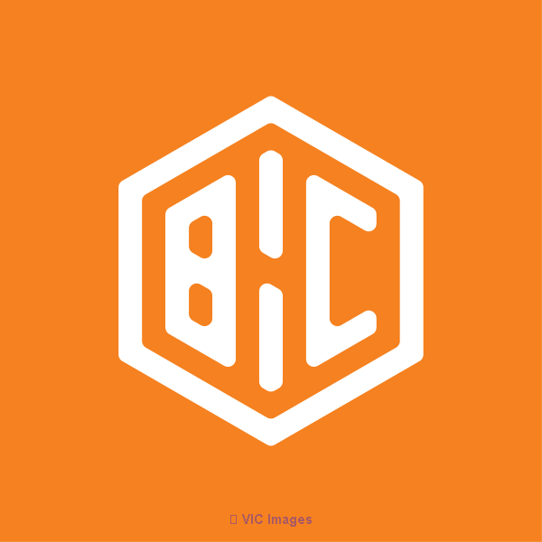 ERP Consulting and Implementation Solutions - BHC Group